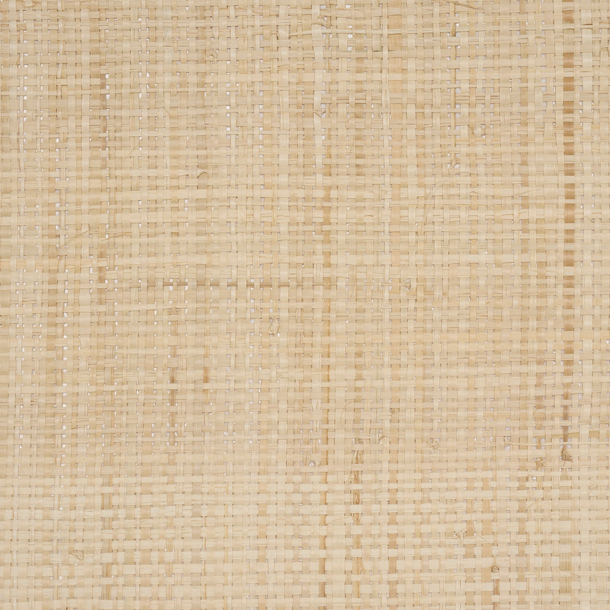 Blonde Raffia Wheat by Schumacher Perennial Favorites Collection Refined Woven Wallpaper – Schumacher 5016510