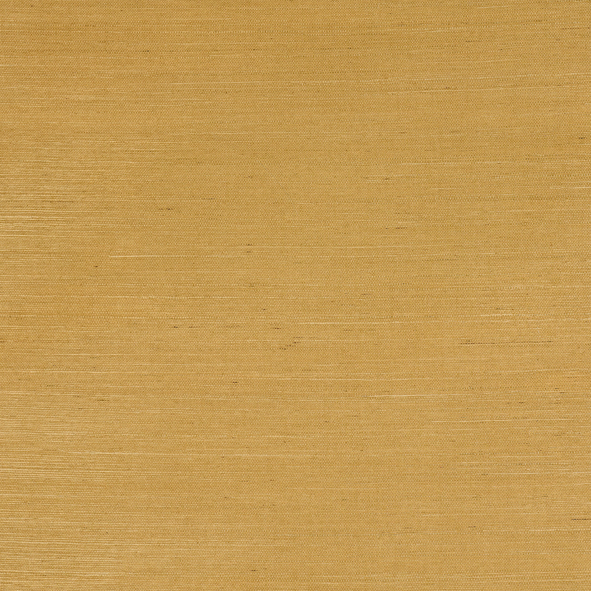 Haruki Sisal in Tanlines by Schumacher - natural sisal textured wallcovering in a warm tan colorway, shown as a close-up and as a rolled wallpaper.