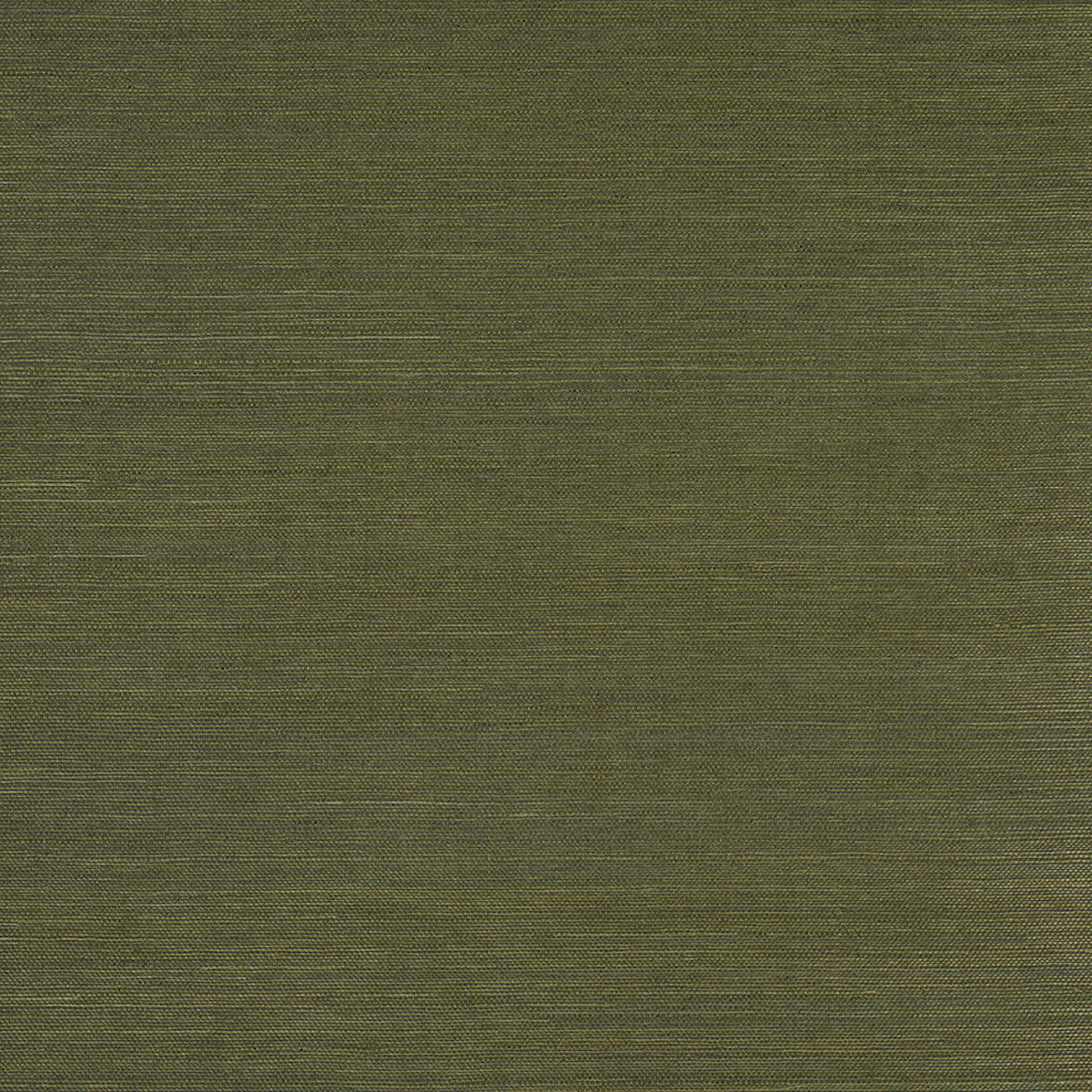 Haruki Sisal Night on Earth by Schumacher - Textured green sisal wallcovering roll and detail