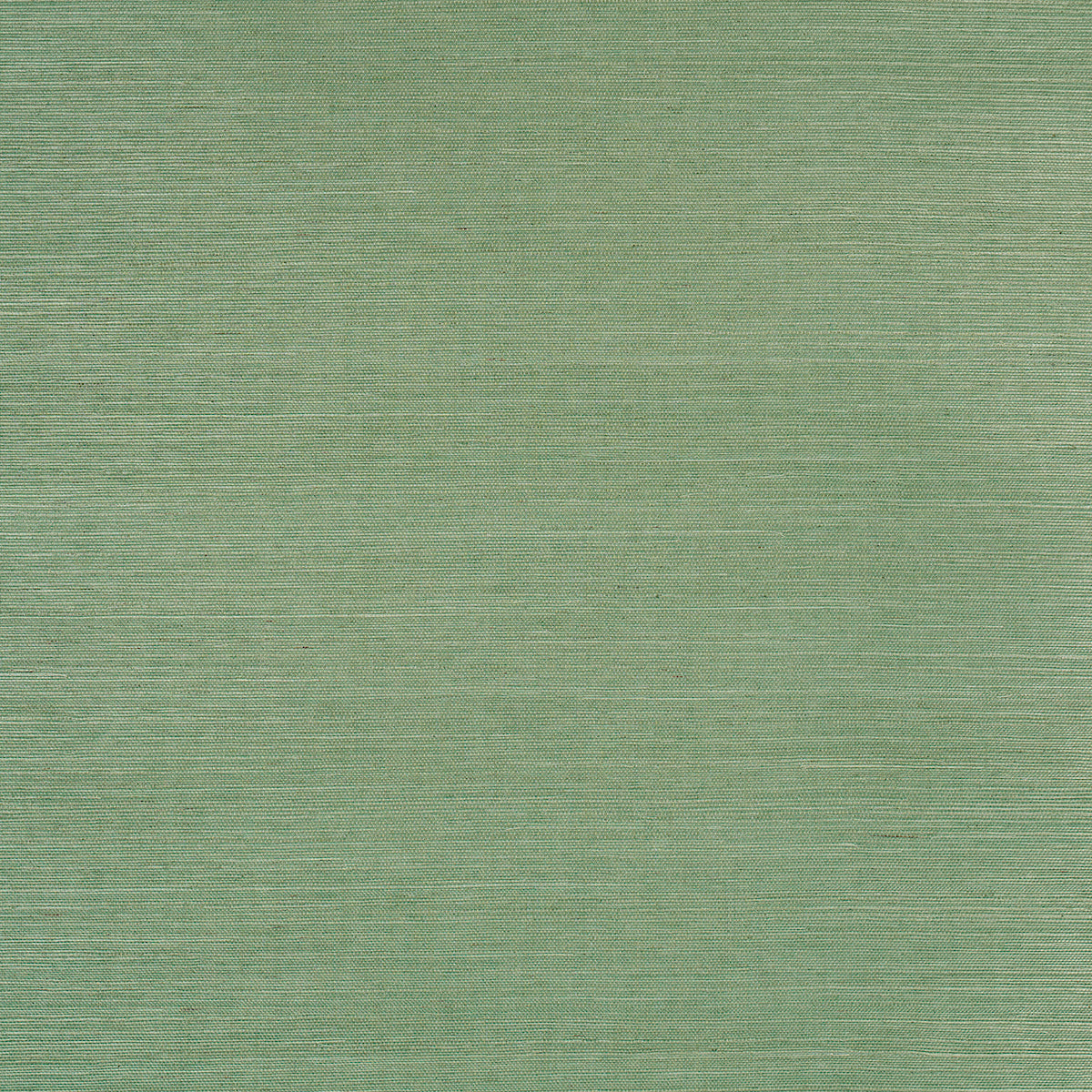 Haruki Sisal in Drive-Thru Safari by Schumacher. Textured green sisal grasscloth wallpaper roll and close-up detail.