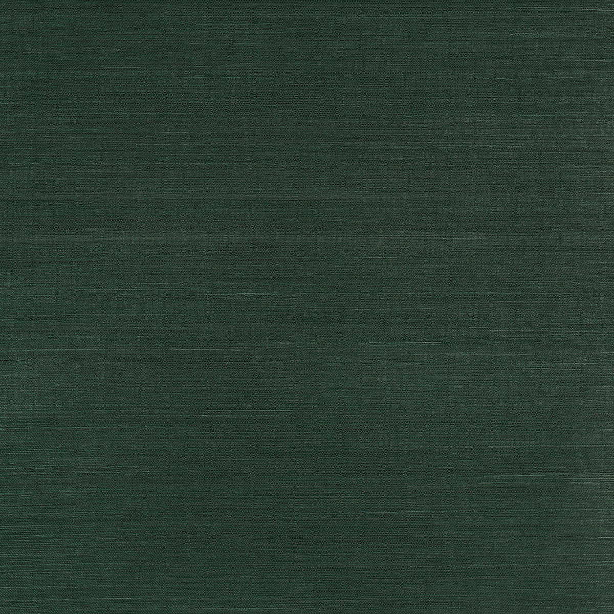 Haruki Sisal in Kismet by Schumacher - deep green textured sisal wallcovering, shown as a roll and flat surface