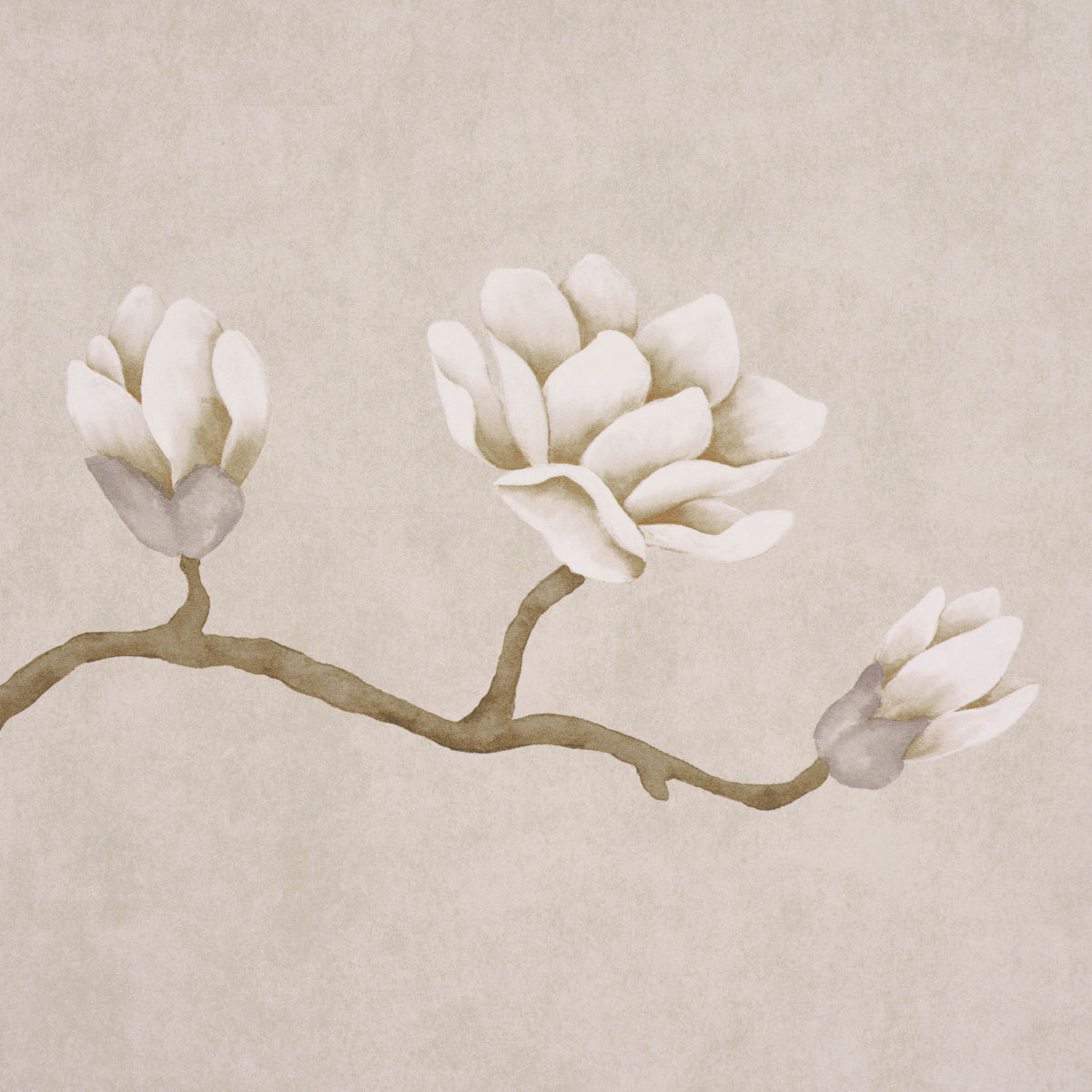 Magnolia Tree Grisaille by Schumacher Large-Scale Climbing Floral Wallpaper – Schumacher 5016931