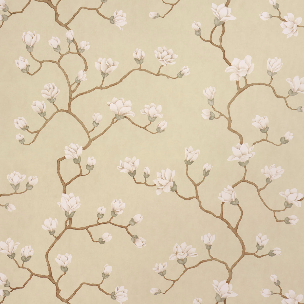 Magnolia Tree wallpaper in soft gold with large-scale climbing magnolia floral branches, inspired by Japanese screens, by Schumacher.