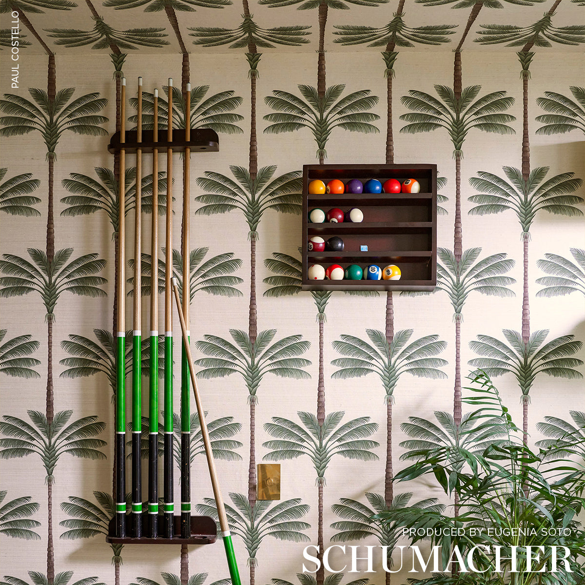 A Palm Is A Palm Sisal Daylight Evergreen by Johanna Ortiz – Schumacher 5016961SAM