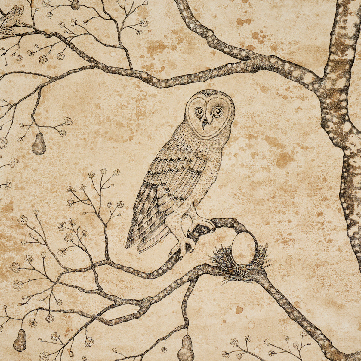 L'Attesa Nella Notte Parchment by Schumacher Luxe Lodge Artistic Owl Wallpaper – Schumacher 5017090