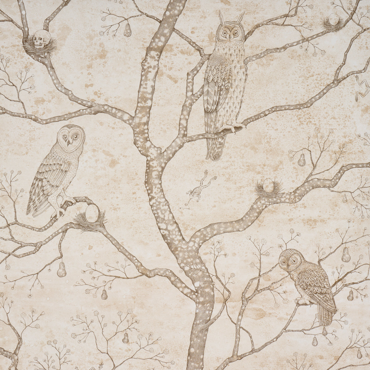 L'Attesa Nella Notte wallpaper in ivory by Schumacher, featuring owls, skulls, and trees in a pen-and-ink style on a mottled background.