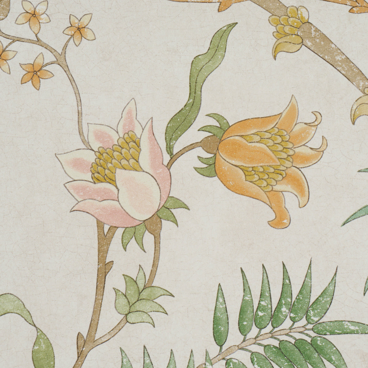 Arasi Botanical Petal by Schumacher Large-Scale Botanical Wallpaper – Schumacher 5017172