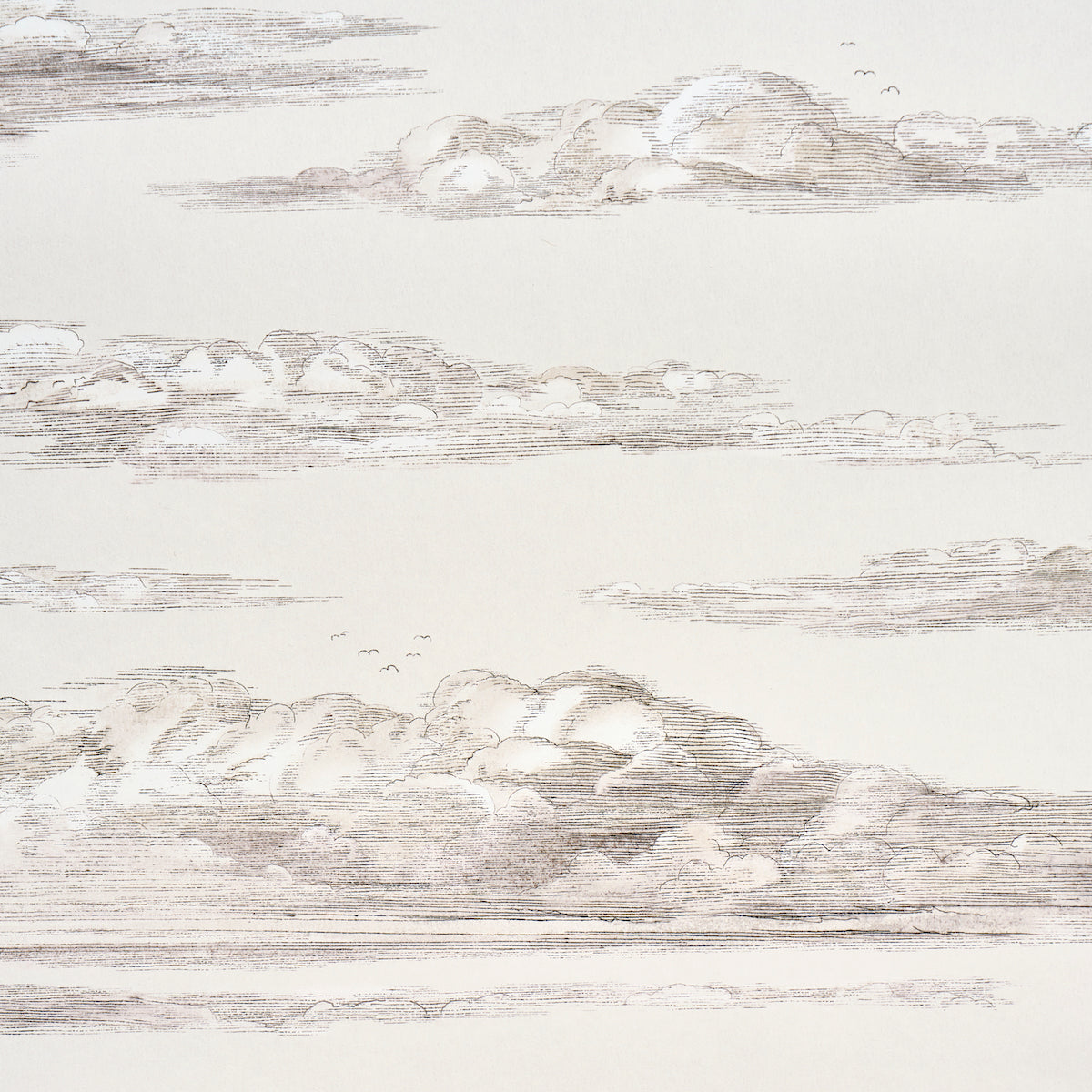 Mr. Darcy's Clouds Grisaille by Johnson Hartig Scenic Cloud Wallpaper – Schumacher 5017582