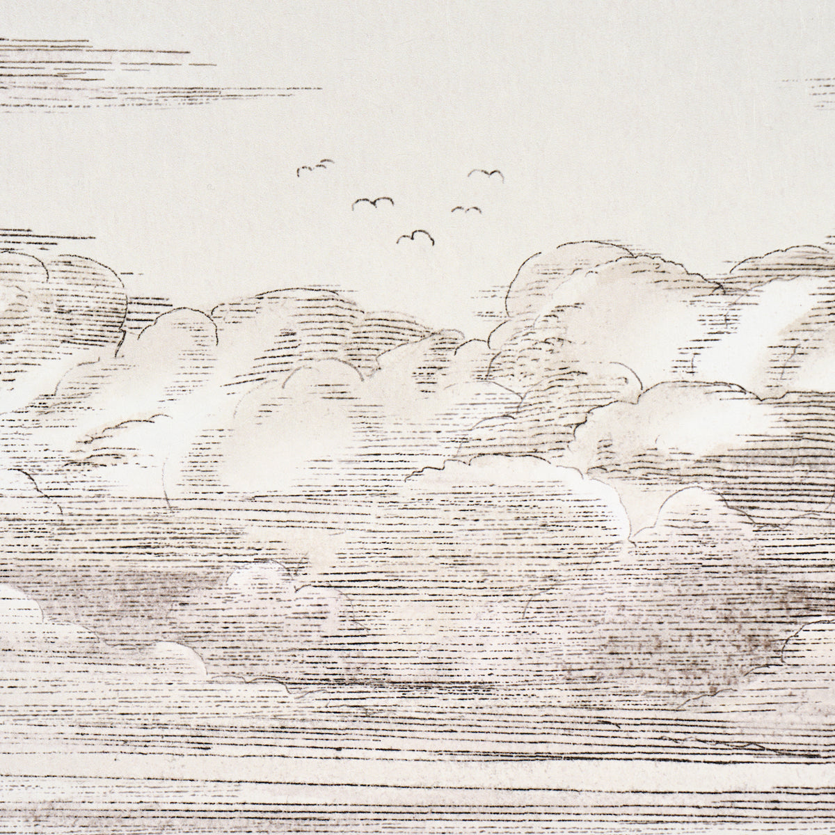 Mr. Darcy's Clouds Grisaille by Johnson Hartig Scenic Cloud Wallpaper – Schumacher 5017582