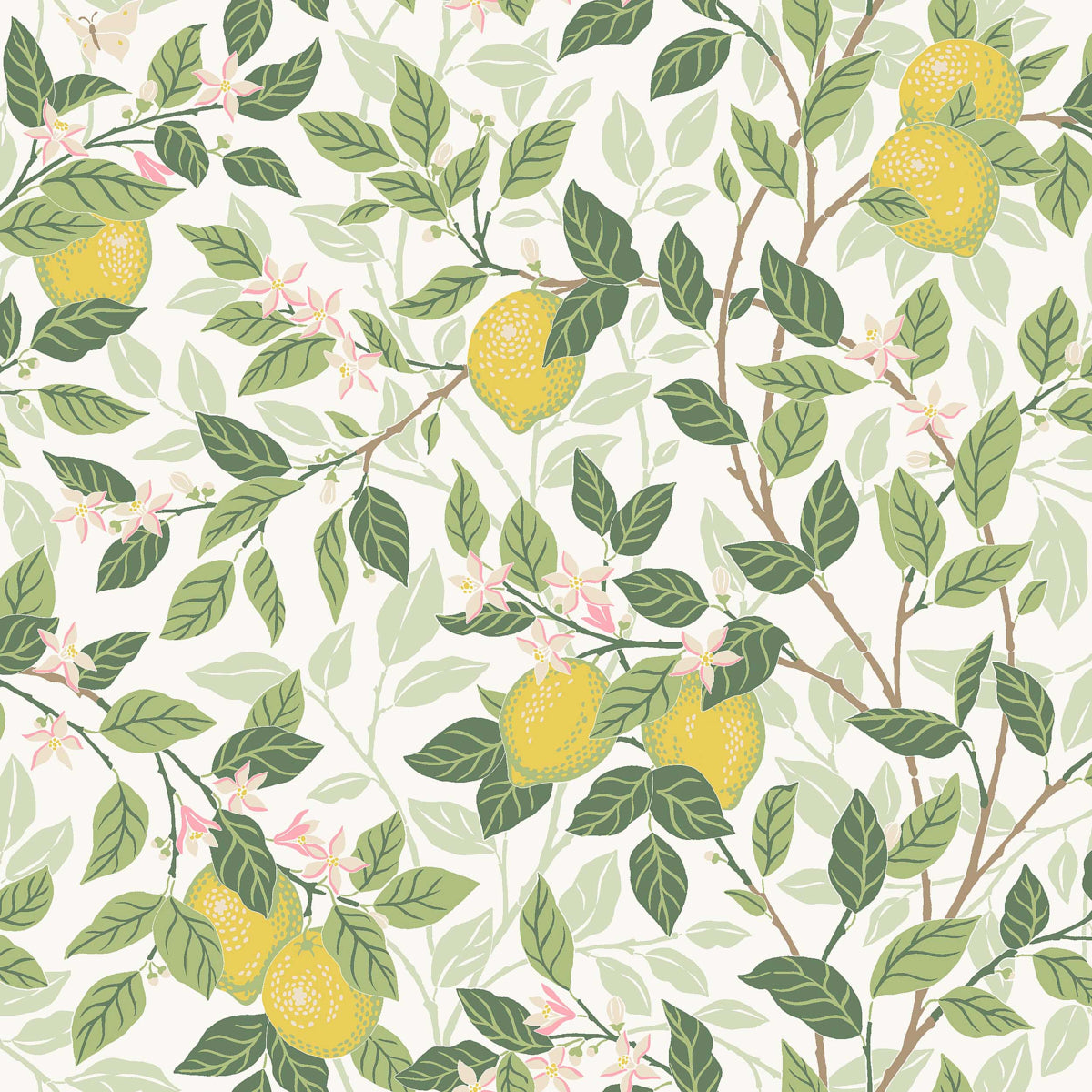 Citronträd wallpaper by Boråstapeter for Schumacher, featuring hand-painted lemon trees and butterflies in ivory and leaf green.