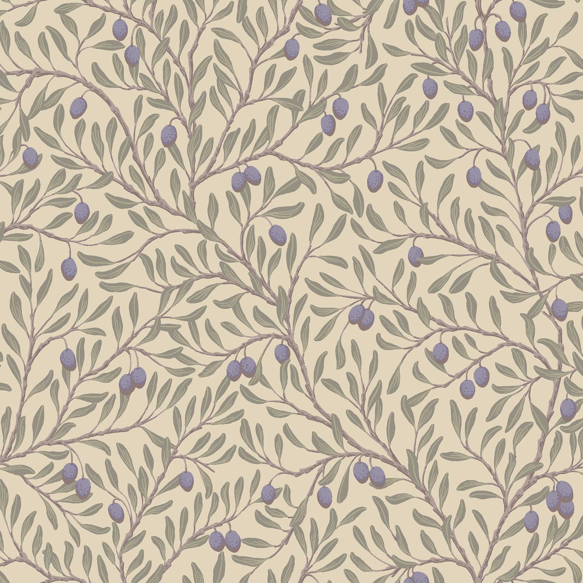 Olive branch botanical wallpaper in leaf and natural colors with purple olives, Mediterranean-inspired design by Boråstapeter for Schumacher.