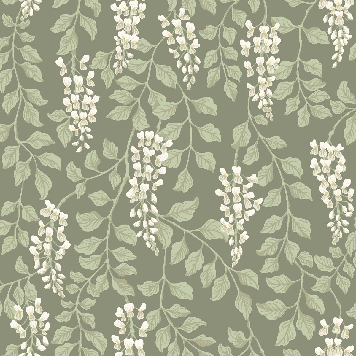 Trailing wisteria floral wallpaper in sage green and white by Boråstapeter, Blåregn pattern, Schumacher 5710