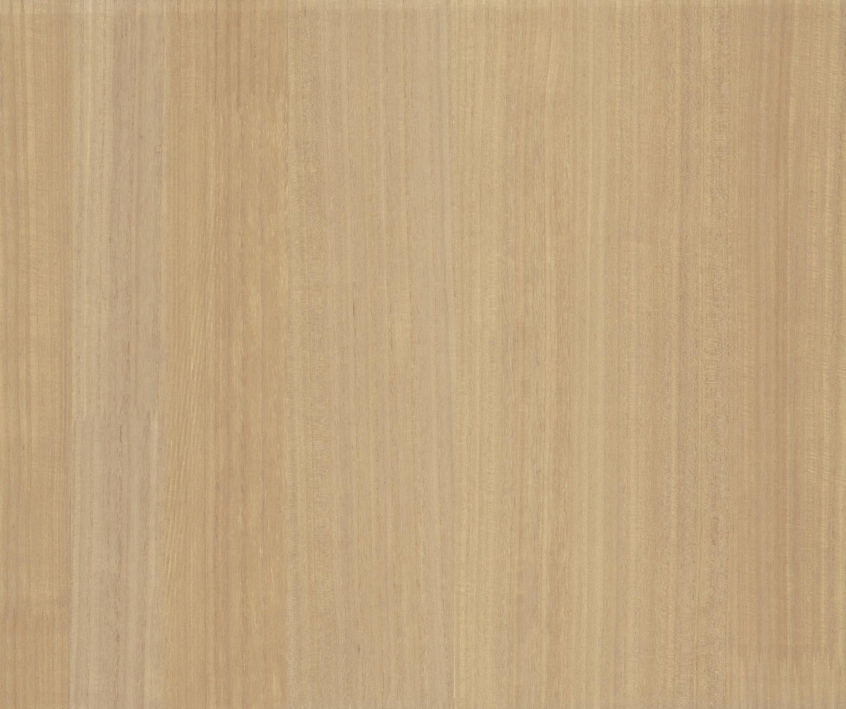 Wood Veneer Honey wallpaper by Ronald Redding, 36 in x 24 ft roll, warm honey wood look
