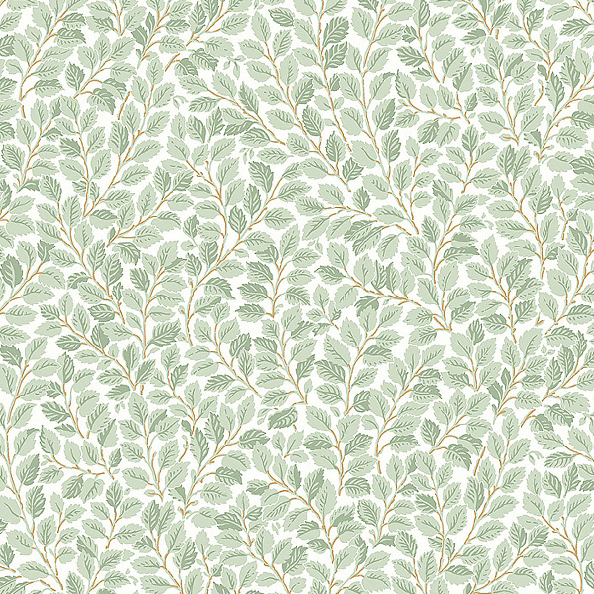 Hazel wallpaper in ivory by Boråstapeter for Schumacher, featuring an intricate botanical pattern of winding hazel leaves.