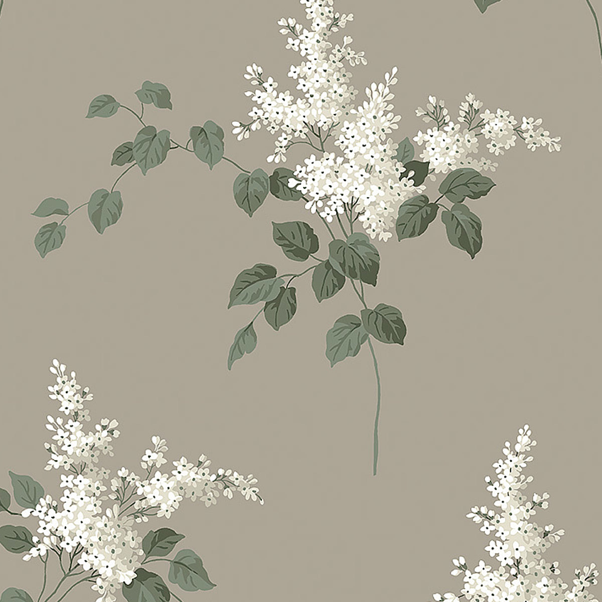 Lilacs wallpaper in grisaille colorway by Boråstapeter for Schumacher, featuring detailed white lilac flowers and green leaves on a taupe background.