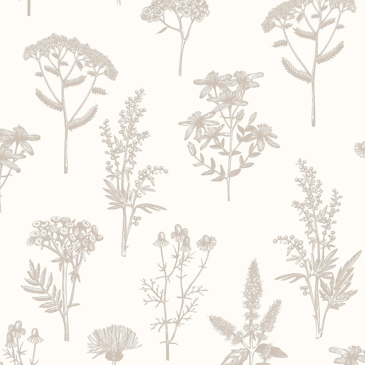 Luminous Botanical Sketch Silver metallic floral wallpaper roll and room view