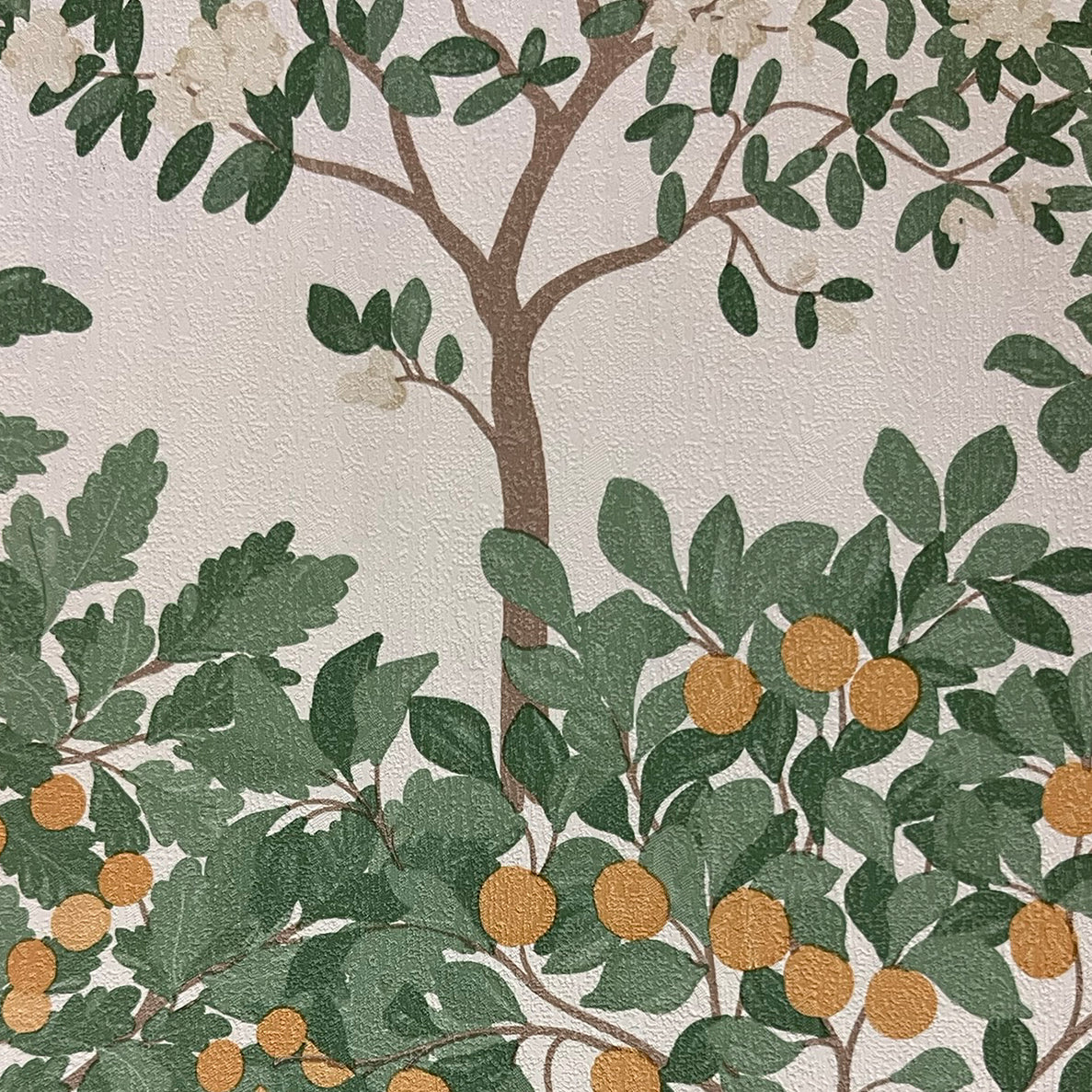 Arbor Serenade Cream by Veer Decor Botanical Trees Wallpaper – Veer Decor 8195-AF4