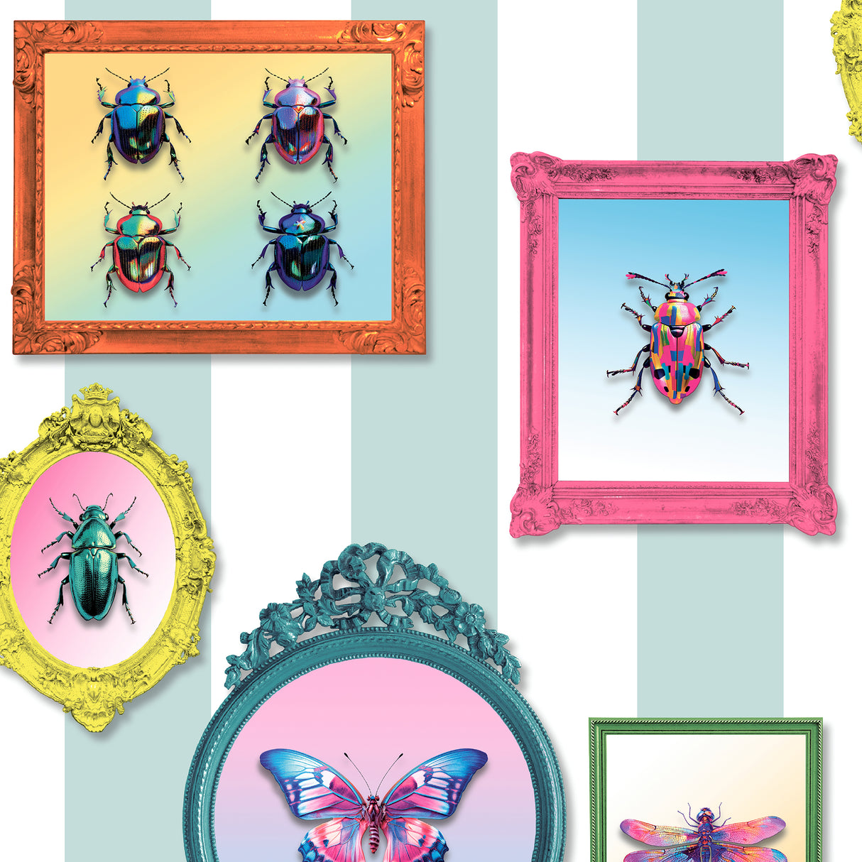 Entomology Gallery Blue wallpaper with framed insects on blue and white stripes