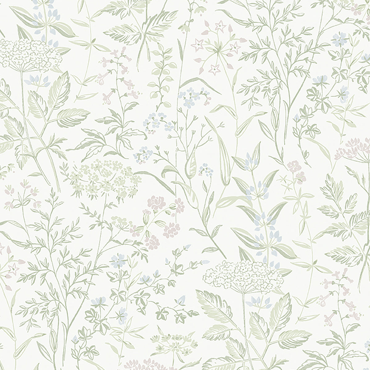 Delicate Dance wallpaper in Leaf by Boråstapeter for Schumacher, featuring Queen Anne's lace and wildflowers in a soft botanical design.