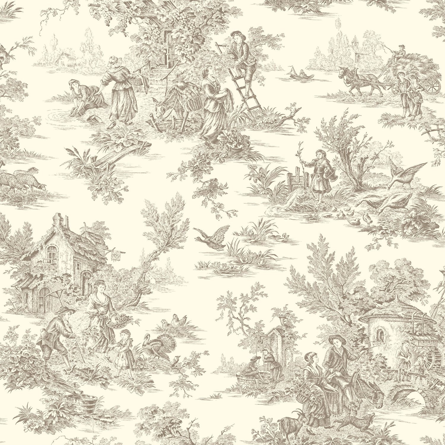 Champagne Brown & White Toile Prepasted Wallpaper - York AF2015