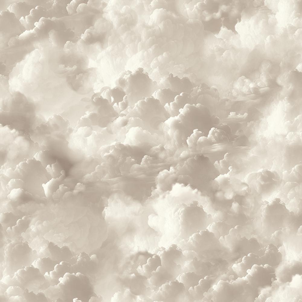 Arthouse Merryweather Neutral Cloudy Skies Wallpaper roll and room scenes