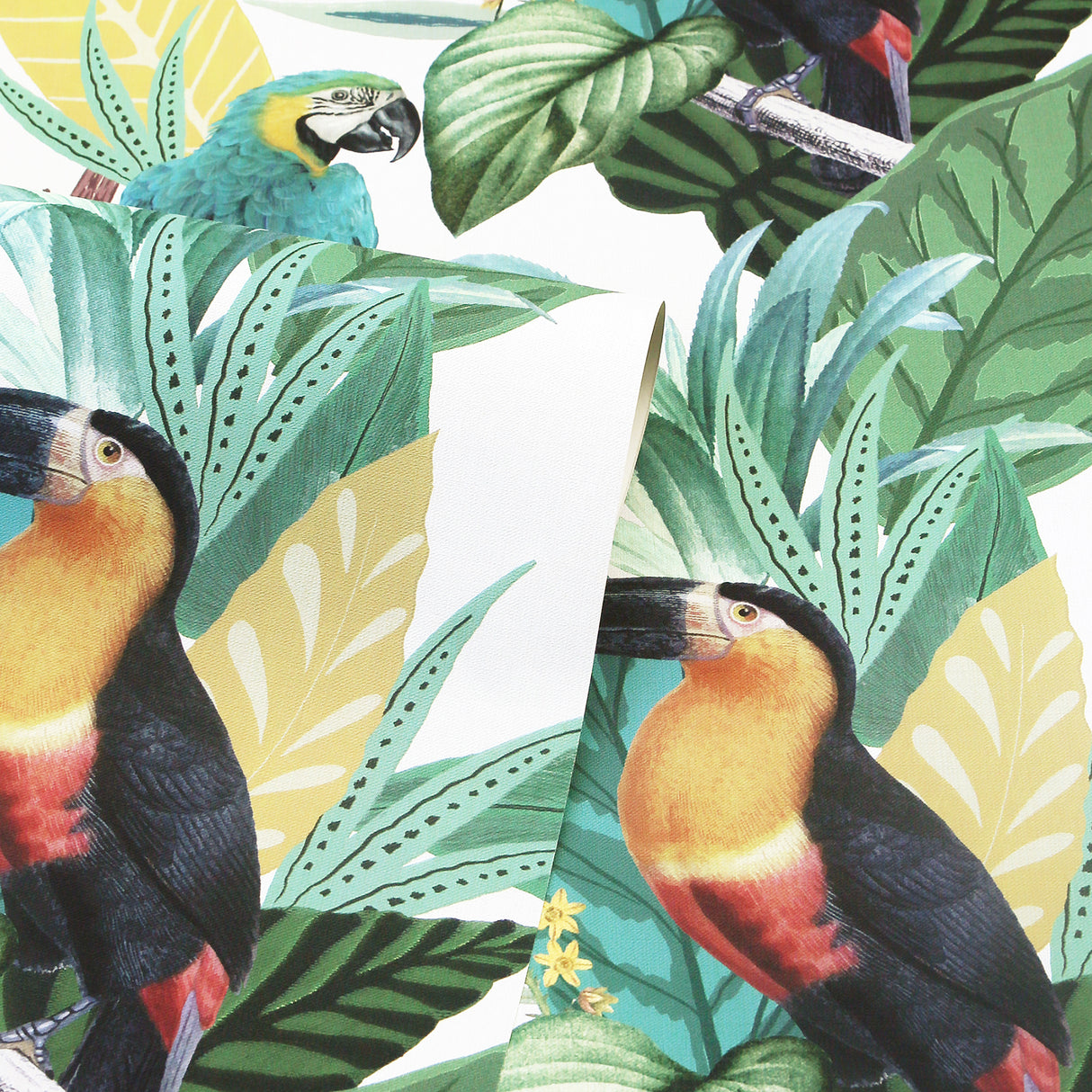 Trudie Multicolor by Arthouse Tropical Birds Wallpaper – Brewster Home Fashions AH296803
