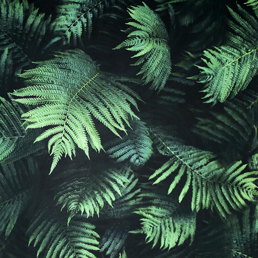 Winona Green Ferns Wallpaper by Arthouse