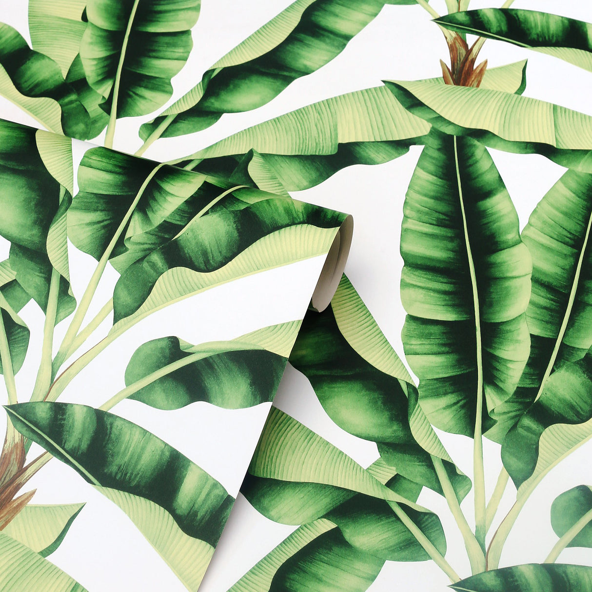 Musa Green by Arthouse Palm Tree Wallpaper – Brewster Home Fashions AH909604