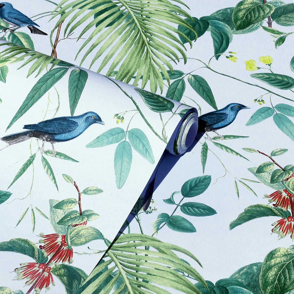 Nanette Light Blue by Arthouse Tropical Garden Wallpaper – Brewster Home Fashions AH921609