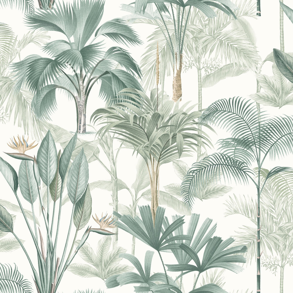 Freda Green Palm Trees wallpaper pattern in cool green tones