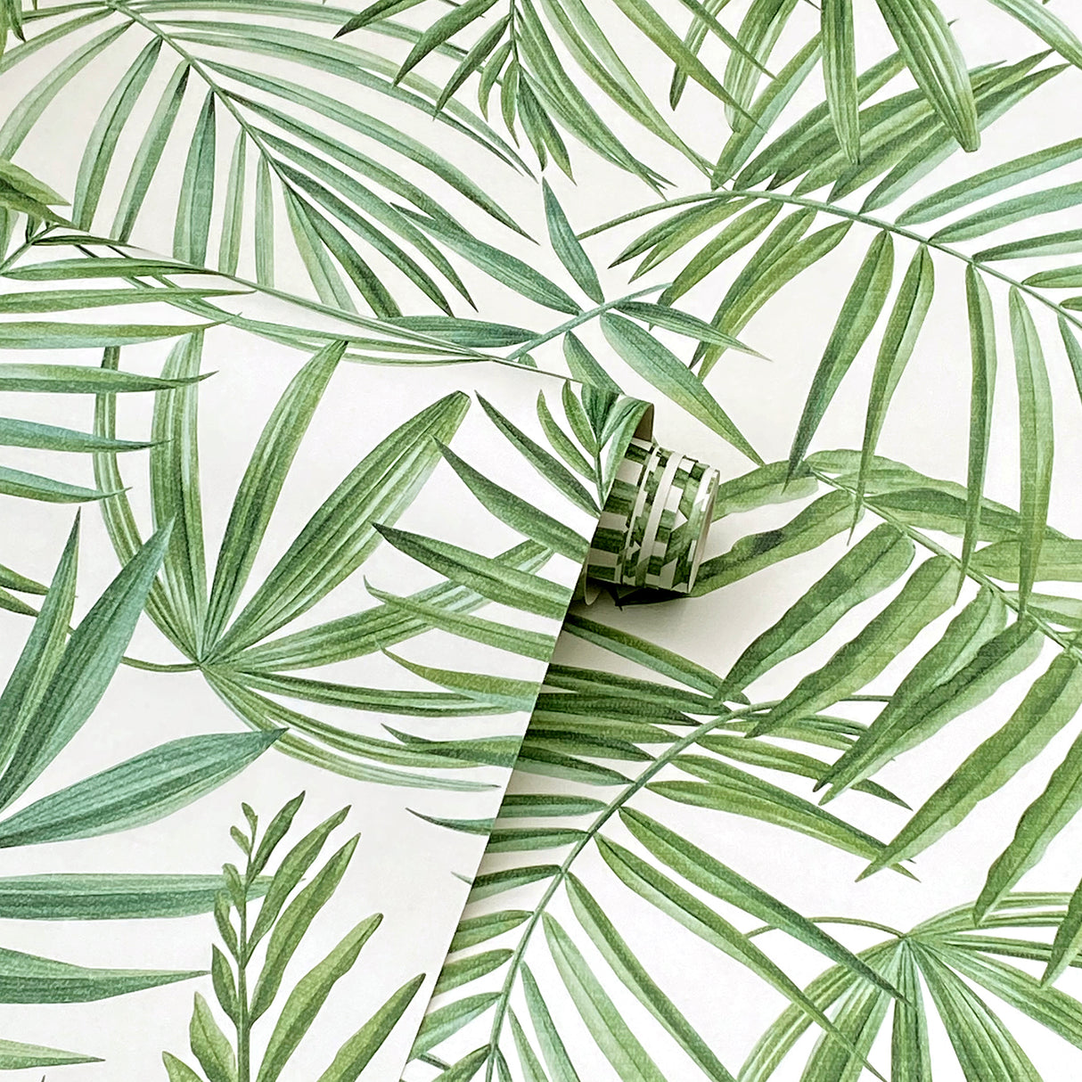 Juan Green by Arthouse Palm Leaves Wallpaper – Brewster Home Fashions AH923909