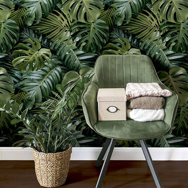 Harlynn Green by Arthouse Monstera Wallpaper – Brewster Home Fashions AH924108