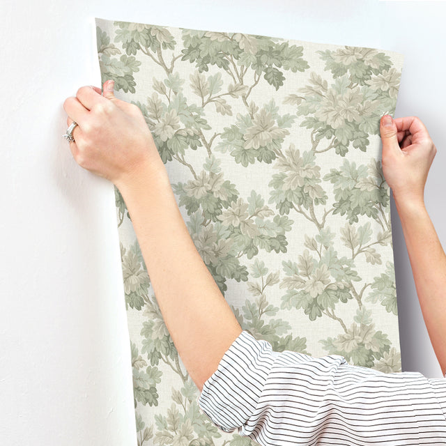 Oakcliff Sage by Erin Gates Leaf Trail Wallpaper – A-Street Prints AST6355