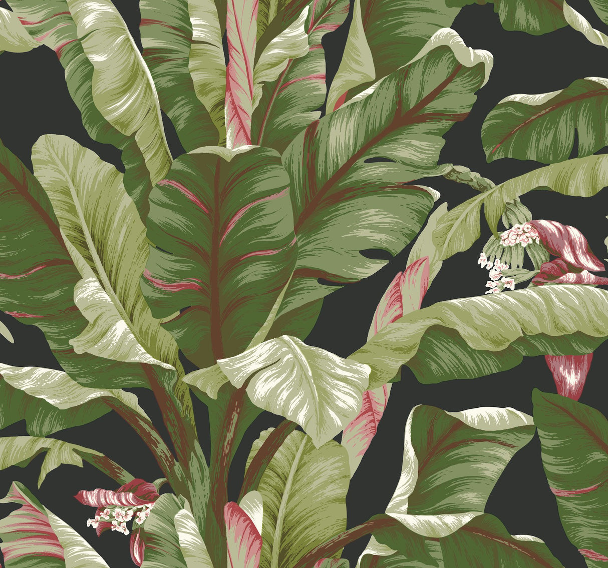 Banana Leaf Black & Red Wallpaper with Tropical Banana Leaf Motif - York AT7071