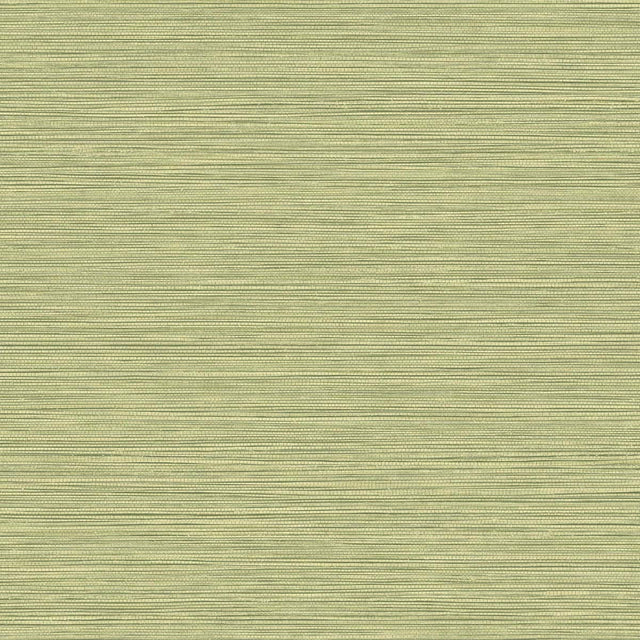 Grasslands faux grasscloth wallpaper in Lime Moss with matte finish