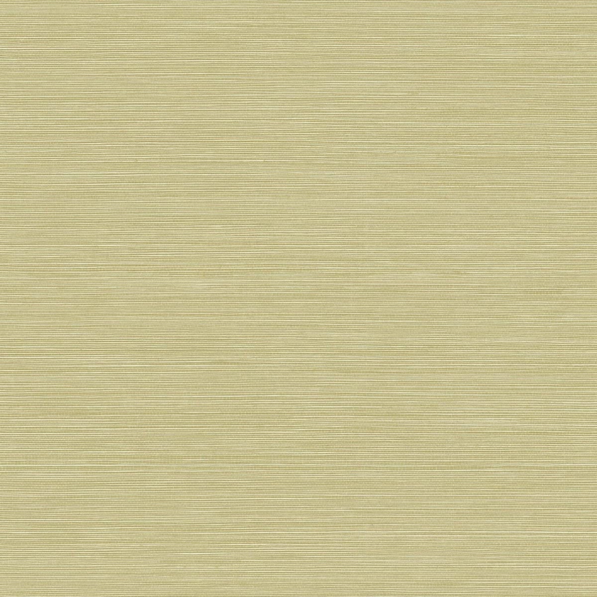 Coastal Hemp Aloe faux grasscloth texture wallpaper in soft green