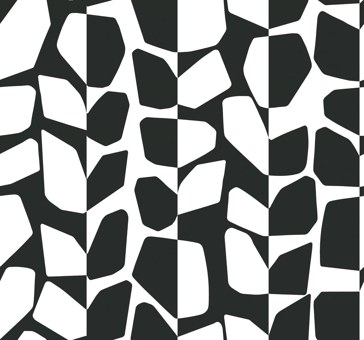 Primitive Vines Black & White Geometric Wallpaper - York BW3893