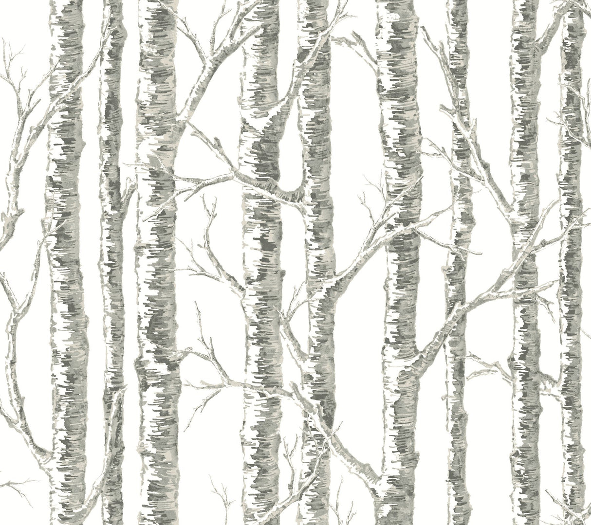 Paper Birch White & Grey Wallpaper with Botanical Birch Tree Motif - York BW3901