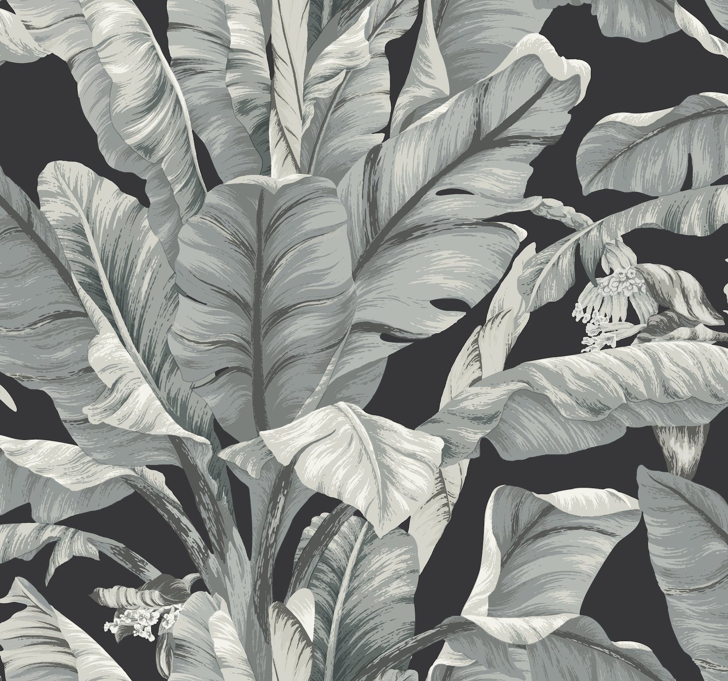 Banana Leaf Black & White Wallpaper with Tropical Banana Leaf Pattern, Prepasted Sure Strip - York BW3971