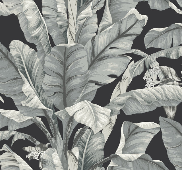 Banana Leaf Black & White Wallpaper with Tropical Banana Leaf Pattern, Prepasted Sure Strip - York BW3971