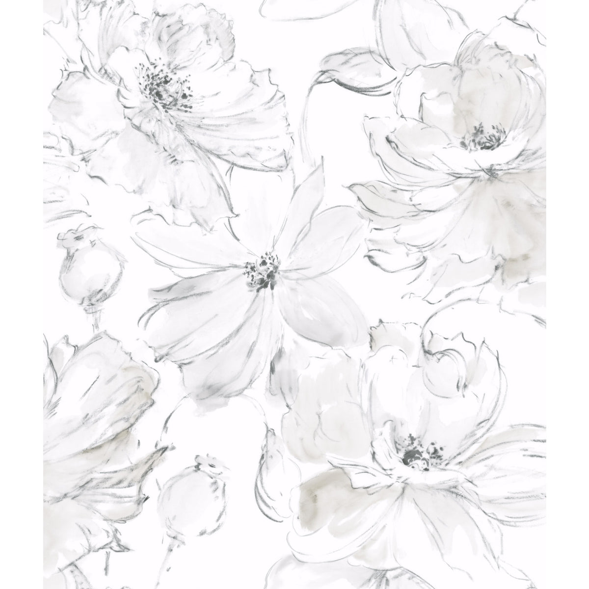 Floral Dreams Grey Wallpaper by York Wallcoverings CL2520 - Large scale sketched botanical floral pattern on white background