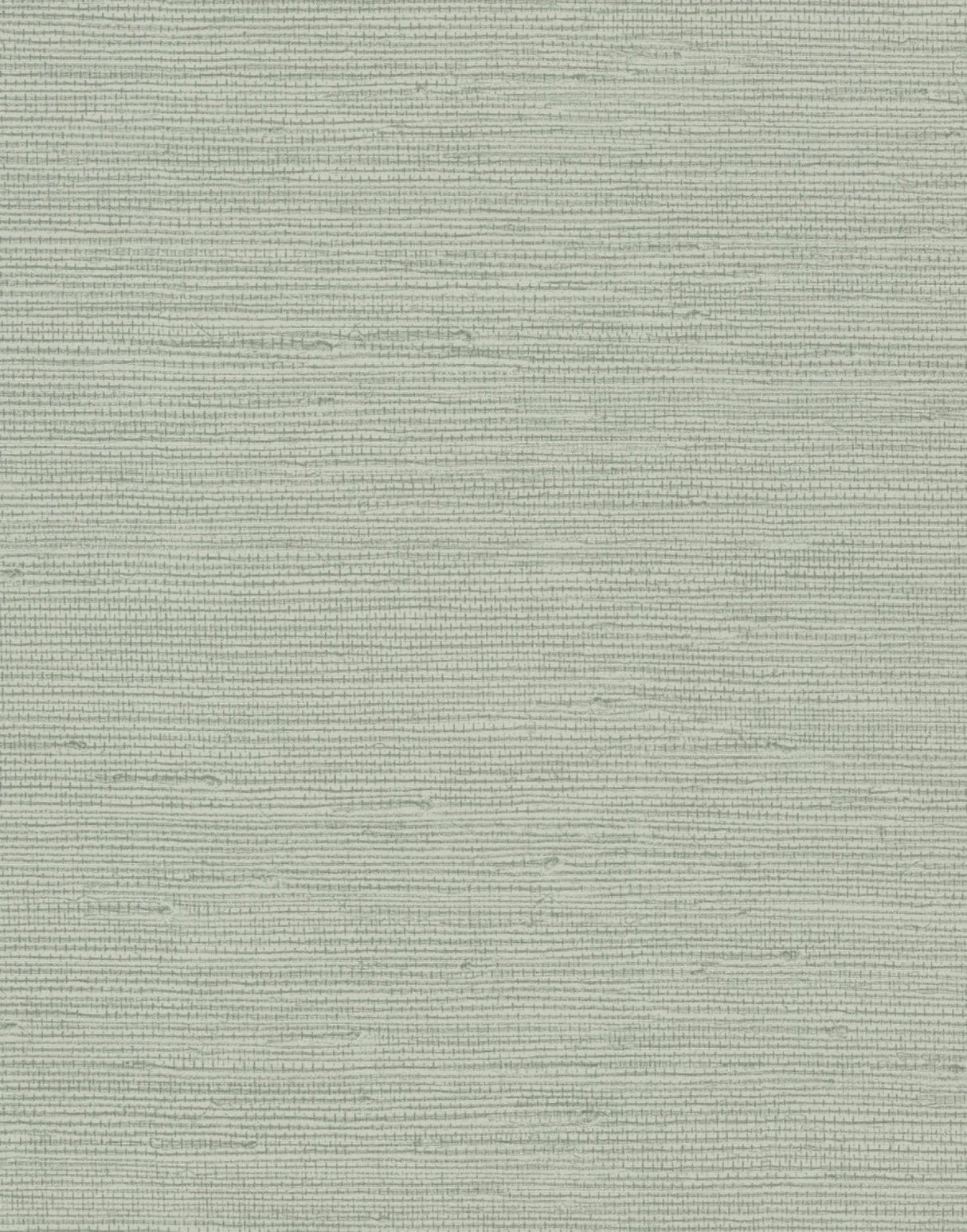 Pampas Green Textured Non-Woven Backed Vinyl Wallpaper - York COD0550N