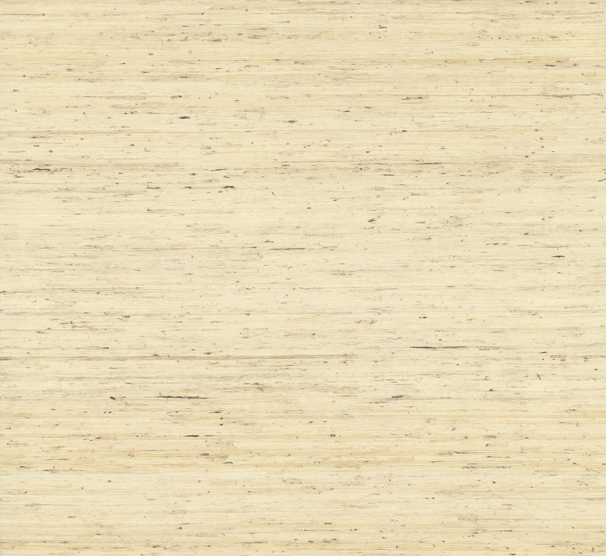 Arrowroot Off White Grasscloth Wallpaper with Natural Woven Texture - York CP9345