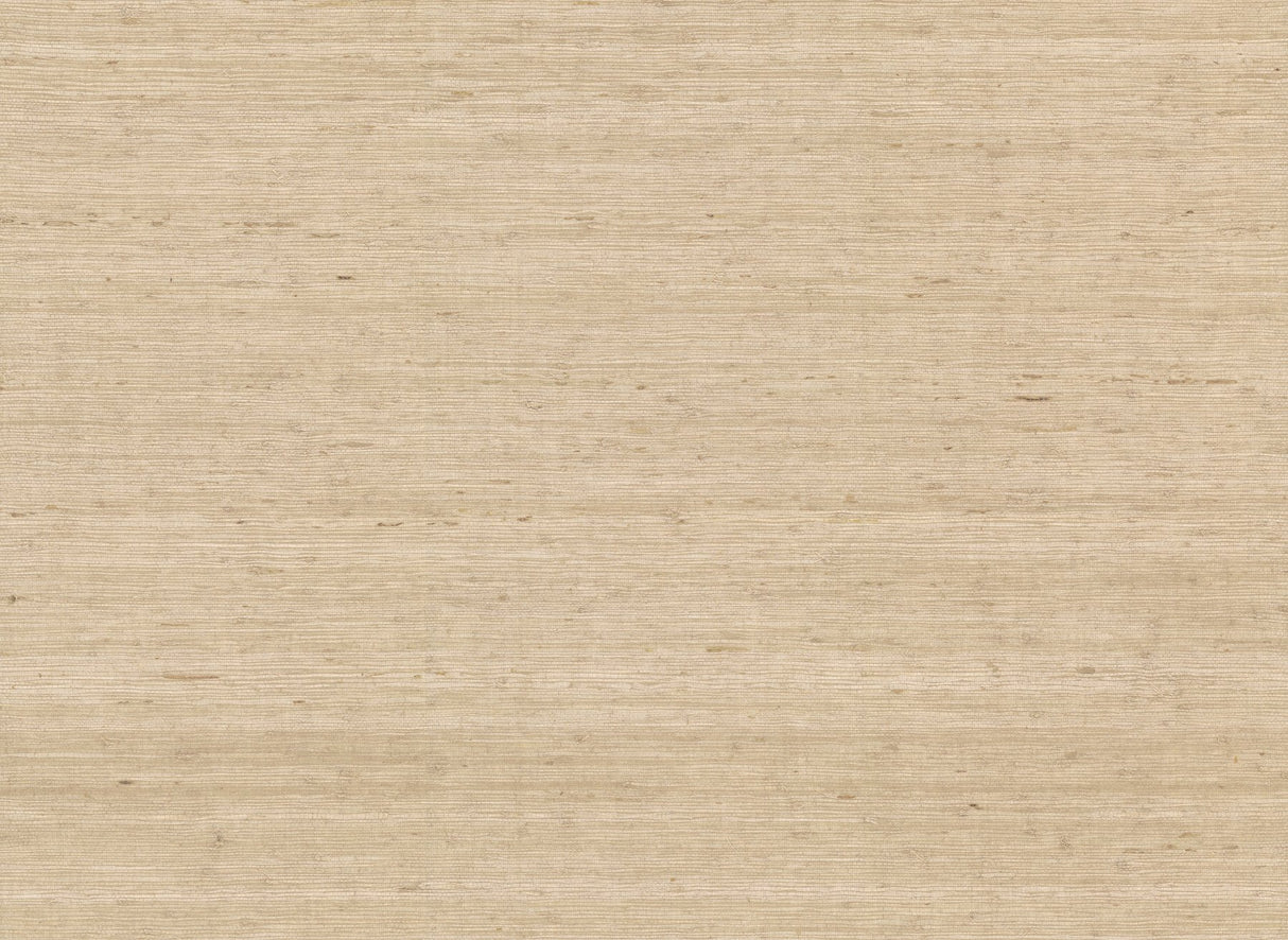 Arrowroot Cream Grasscloth Non Woven Wallpaper - York CV4401