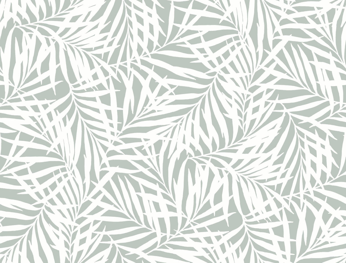 Oahu Fronds Light Green & White Wallpaper with Botanical Leaf Motif - York CV4434