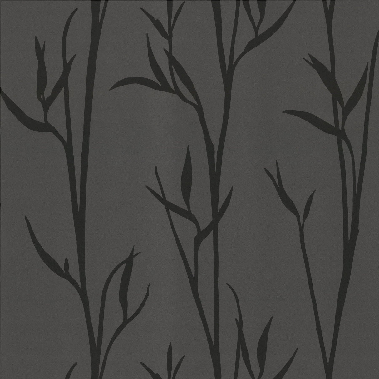 Matcha Black Wallpaper with Botanical Bamboo Silhouette - York DA3511N