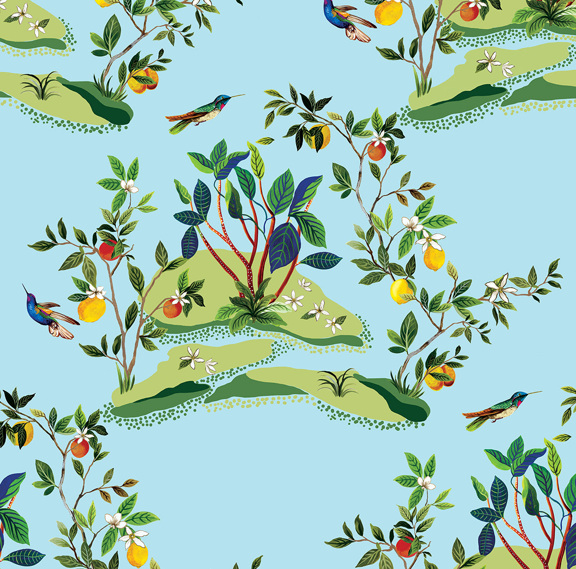 Citrus Hummingbird wallpaper in sky blue with citrus branches and hummingbirds