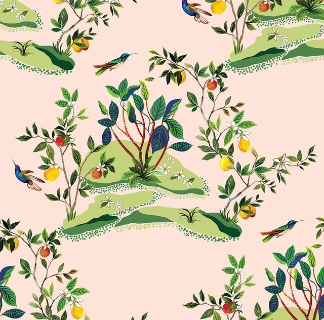Citrus Hummingbird blush wallpaper with hummingbirds and citrus branches, matte finish