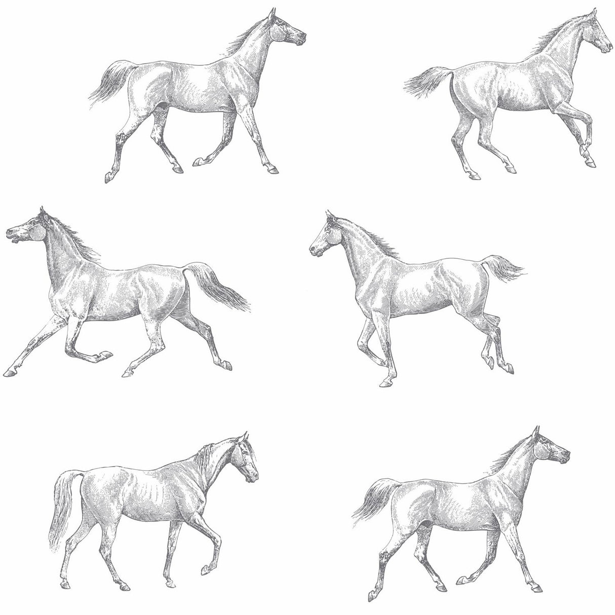 Burnett Off White Horses Wallpaper with Eclectic Novelty Horse Motif - ESTA Home DD128807
