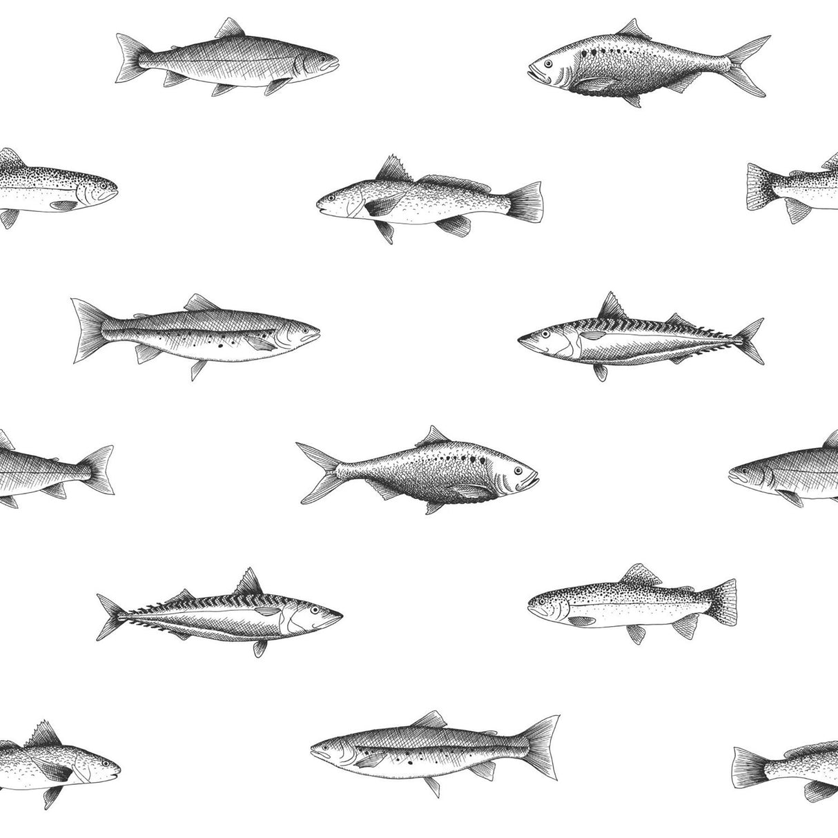 Fiyero Off White Fish Wallpaper with Hand-Drawn Coastal Fish Motif - ESTA Home DD138967